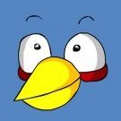 SurfingBird
