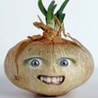 Sley