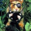EtoJeGranDFox
